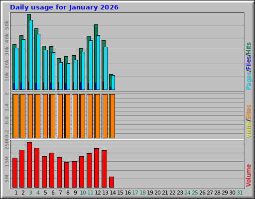 Daily usage for January 2026